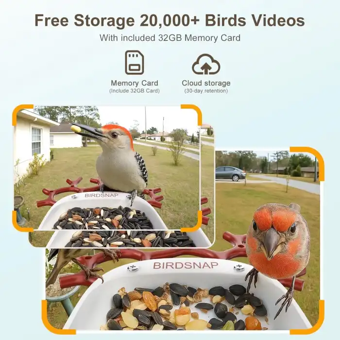 BirdSnap P33 - Güneş Enerjili 2K Video Canlı Kuş Kamerası Yemliği - Kırmızı