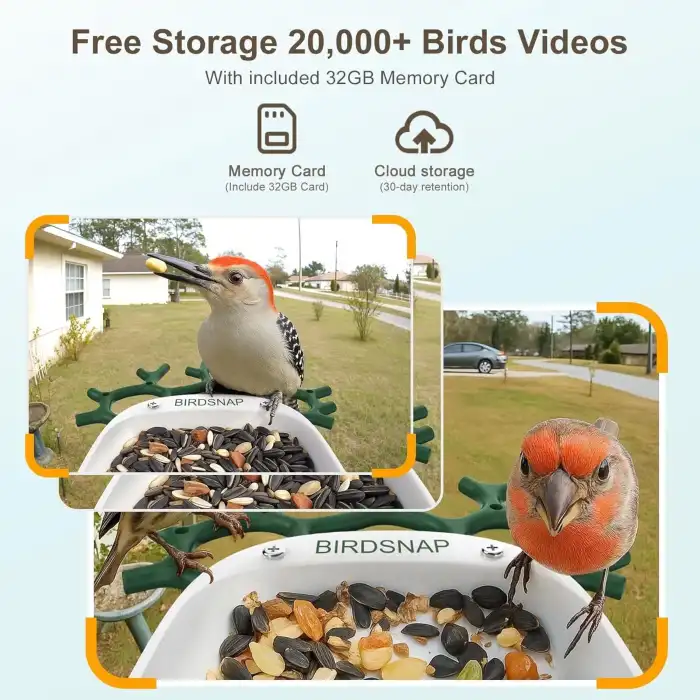 BirdSnap P33 - Güneş Enerjili 2K Video Canlı Kuş Kamerası Yemliği - Koyu Yeşil