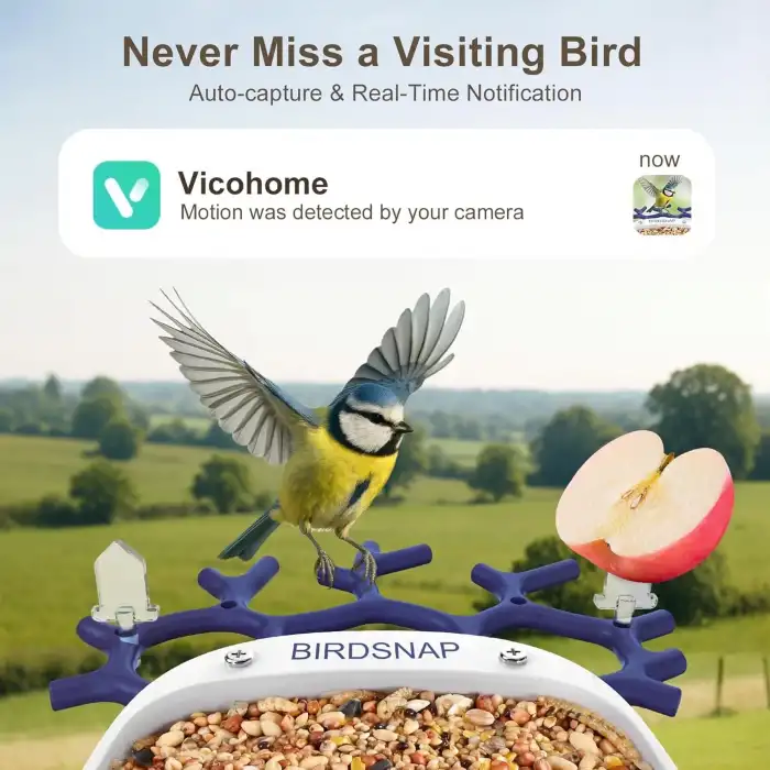 BirdSnap P33 - Güneş Enerjili 2K Video Canlı Kuş Kamerası Yemliği - Mavi