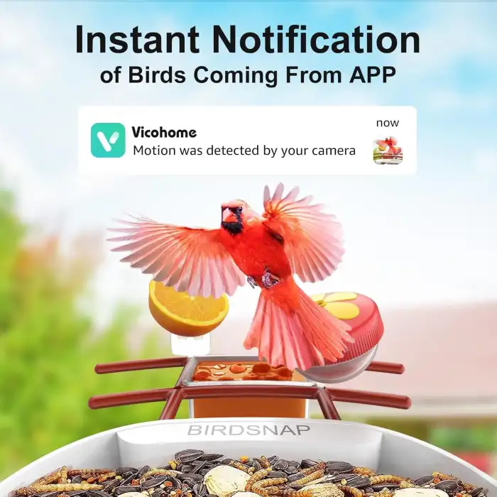 BirdSnap PAV - Akıllı Kuş Yemliği, Güneş Enerjili Kamera 2K HD - Kırmızı