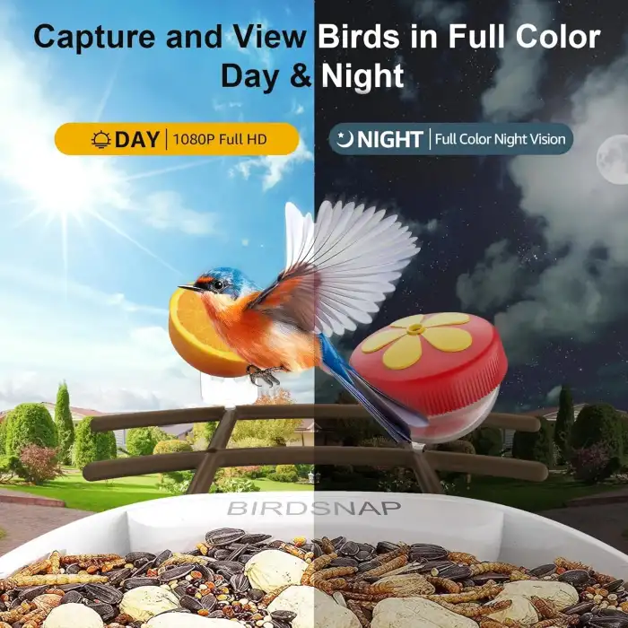 BirdSnap PAV - Akıllı Kuş Yemliği, Güneş Enerjili Kamera 2K HD - Koyu Kahverengi