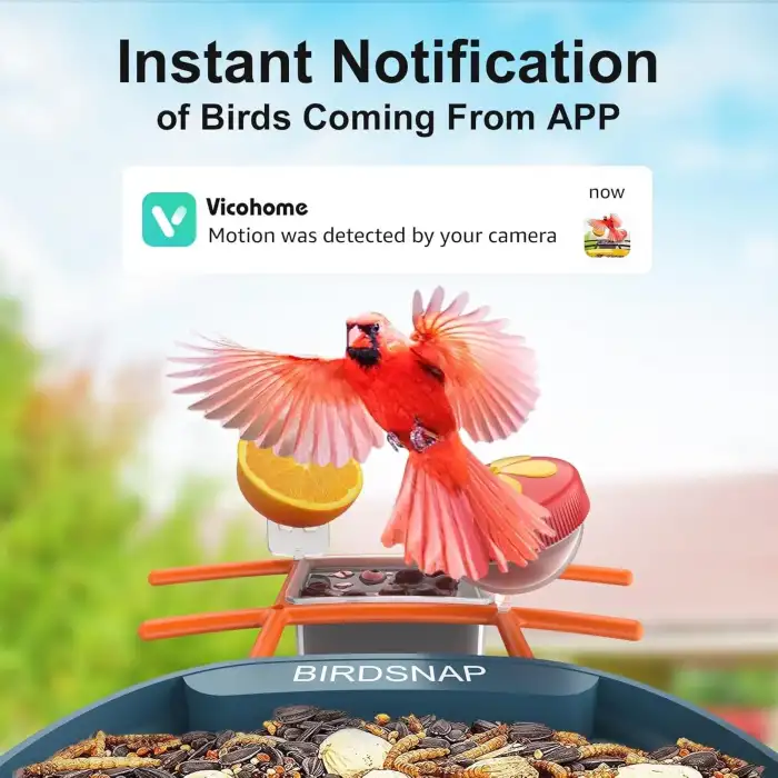 BirdSnap PAV - Akıllı Kuş Yemliği, Güneş Enerjili Kamera 2K HD - Mavi