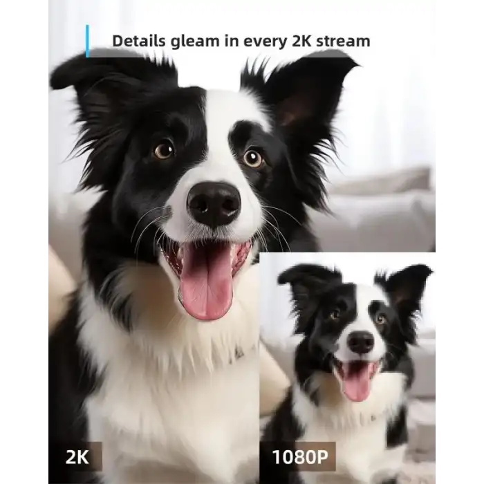 Blurams 360° 2K İç Mekan Güvenlik Kamerası