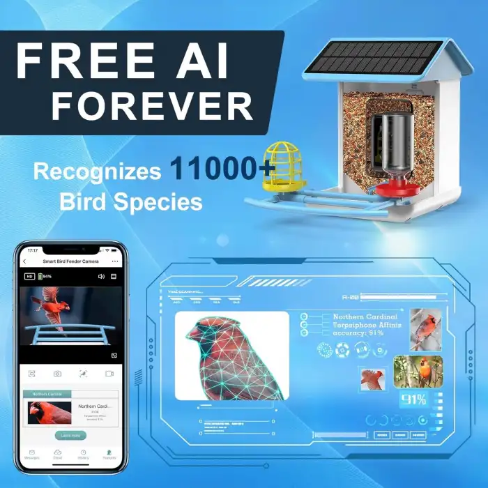 BROAIMX Güneş Enerjili Kameralı Kuş Yemliği Ücretsiz Yapay Zeka - Gök Mavisi