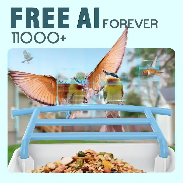 BROAIMX Güneş Enerjili Kameralı Kuş Yemliği Ücretsiz Yapay Zeka - Gök Mavisi