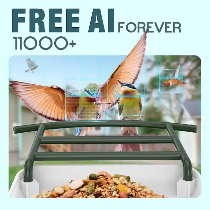 BROAIMX Güneş Enerjili Kameralı Kuş Yemliği Ücretsiz Yapay Zeka - Koyu Yeşil