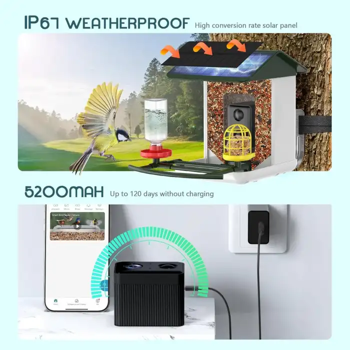 BROAIMX Güneş Enerjili Kameralı Kuş Yemliği Ücretsiz Yapay Zeka - Koyu Yeşil