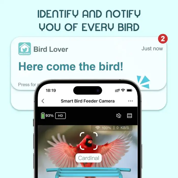 BROAIMX Güneş Enerjili Kameralı Kuş Yemliği Ücretsiz Yapay Zeka - Pus Mavisi
