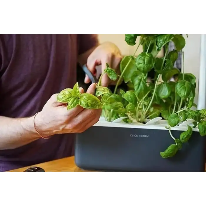 Click & Grow Kapalı Alan Bitki Bahçesi Seti Büyüme Işığı - Gri