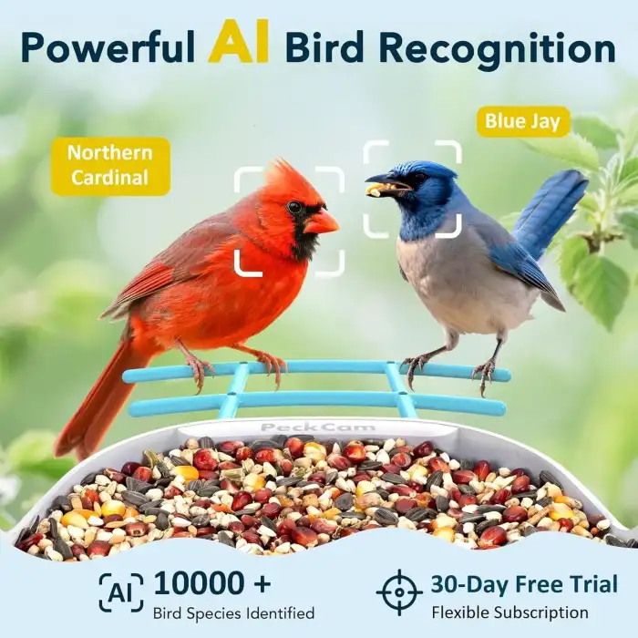 Depstech 210° İki Yönlü Eklemli Endeskop 6mm - 1.5m Kablo