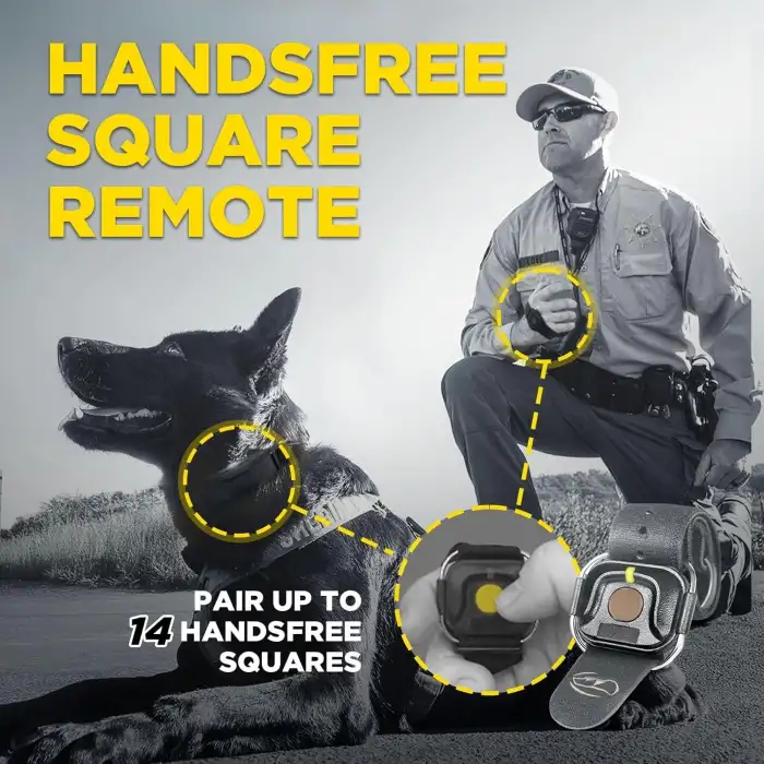 Dogtra 1900X Black - 1 Mil Uzaktan Eğitim E-Collar 20+ Kg Köpekler