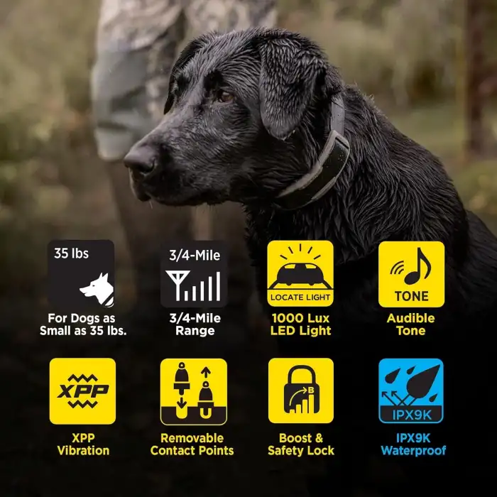 Dogtra 1900X E-Collar Eğitimi Tasması - 3/4 Mil, 16+ Kg Köpekler