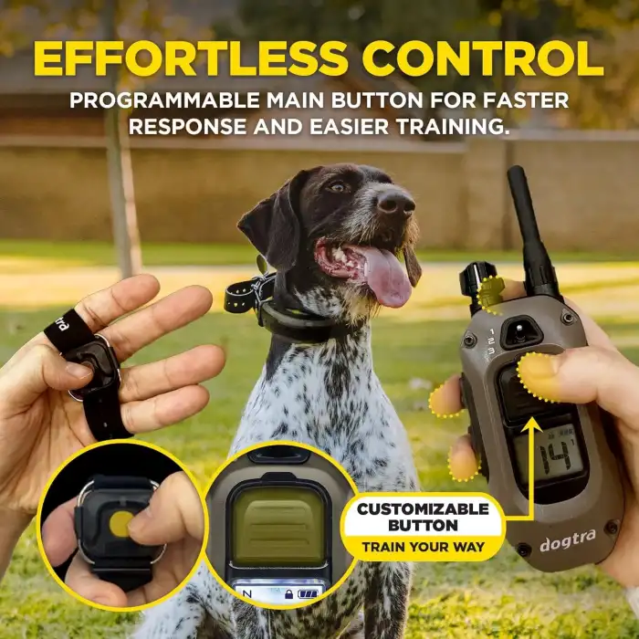 Dogtra 1900X Eller Serbest E-Collar Köpek Eğitimi - 3/4 Mil, 20+ Kg Köpekler