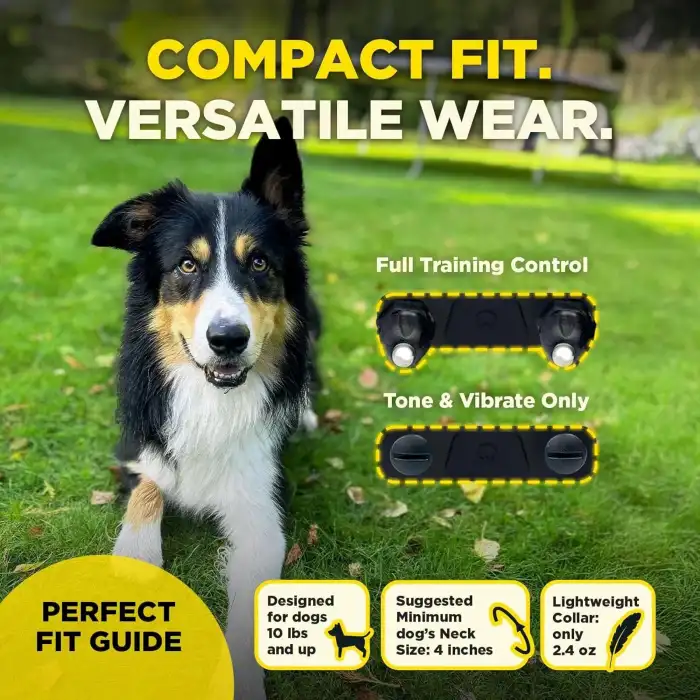 Dogtra 200iQ Uzaktan Eğitim E-Tasması 4,5+ Kg Köpekler - Çiçekli