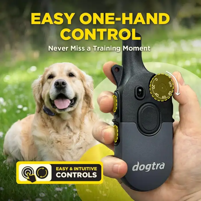Dogtra 200iQ Uzaktan Eğitim E-Tasması 4,5+ Kg Köpekler - Gri