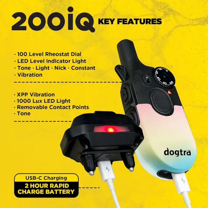 Dogtra 200iQ Uzaktan Eğitim E-Tasması 4,5+ Kg Köpekler - Gün Batımı