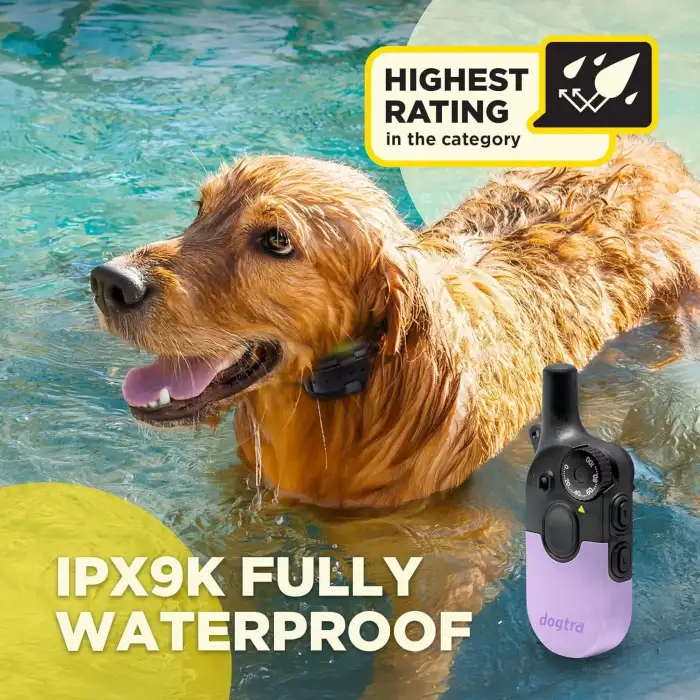 Dogtra 200iQ Uzaktan Eğitim E-Tasması 4,5+ Kg Köpekler - Lavanta