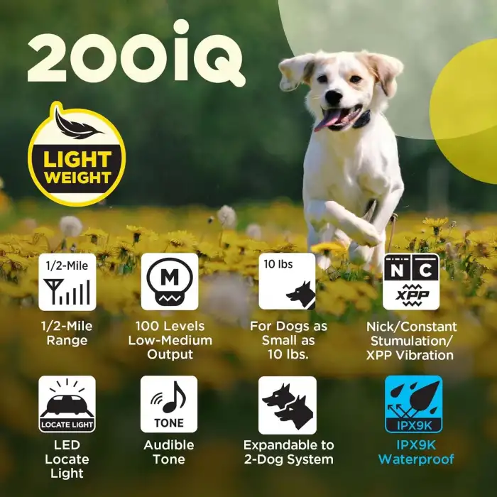 Dogtra 200iQ Uzaktan Eğitim E-Tasması 4,5+ Kg Köpekler - Soyut Mavi