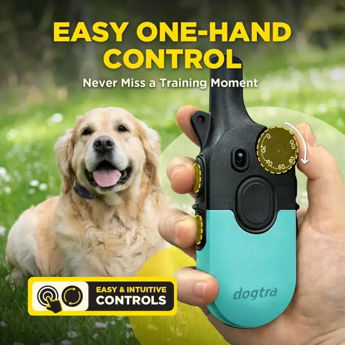 Dogtra 200iQ Uzaktan Eğitim E-Tasması 4,5+ Kg Köpekler - Turkuaz