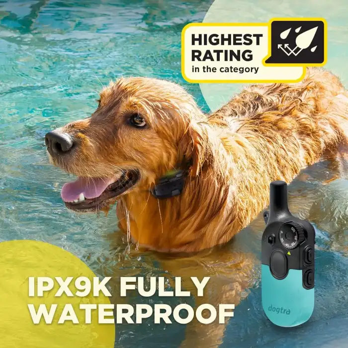 Dogtra 200iQ Uzaktan Eğitim E-Tasması 4,5+ Kg Köpekler - Turkuaz