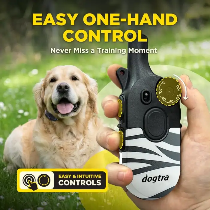 Dogtra 200iQ Uzaktan Eğitim E-Tasması 4,5+ Kg Köpekler - Zebra