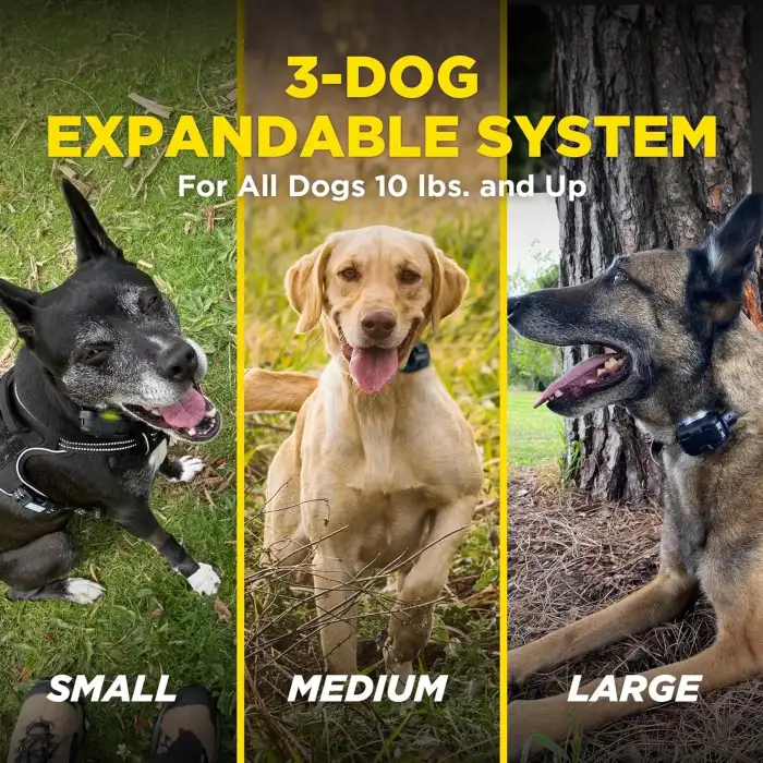 Dogtra 280X E-Tasma Uzaktan Kumandalı 2 Köpek Eğitim 1/2 Mil, 4,5 kg