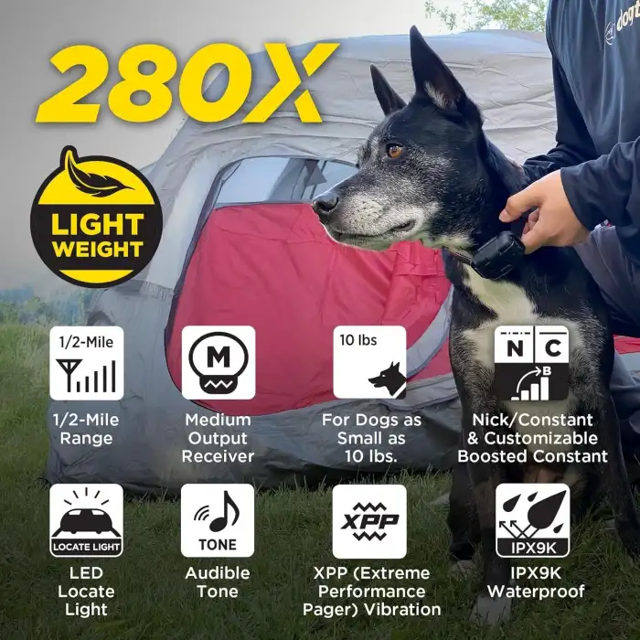 Dogtra 280X E-Tasma Uzaktan Kumandalı Köpek Eğitim 1/2 Mil, 4,5 kg