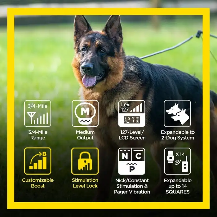 Dogtra Arc HANDSFREE Plus Güçlendirme ve Kilitleme, Uzaktan Köpek Eğitimi