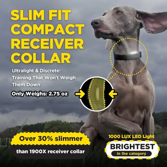 Dogtra ARC-X E-Collar Eğitimi Tasması - 3/4 Mil, 7,5+ Kg Köpekler
