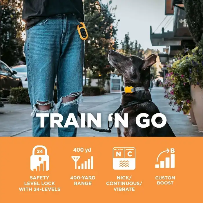 Dogtra CUE E-Yaka Su Geçirmez Şarj Edilebilir - Köpek Eğitim Tasması