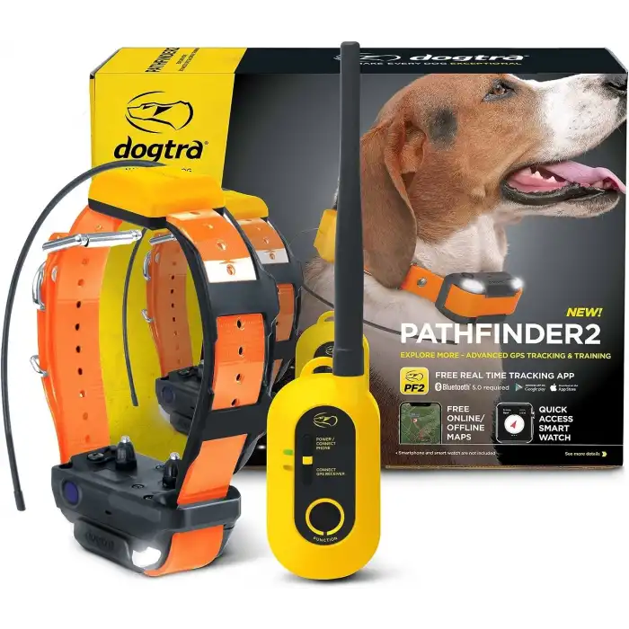 Dogtra Pathfinder 2 GPS Köpek Takip Cihazı ve Yaka LED Işık
