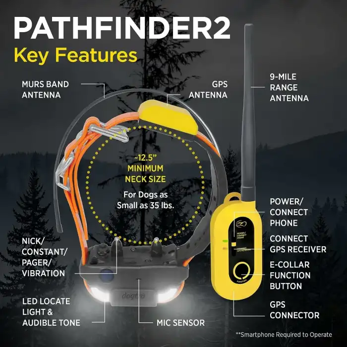 Dogtra Pathfinder 2 GPS Köpek Takip Cihazı ve Yaka LED Işık
