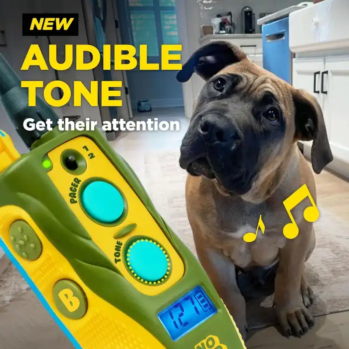 Dogtra Tom Davis 280C 2.0 Uzaktan Kumandalı Köpek Eğitimi (2025 Sürümü)