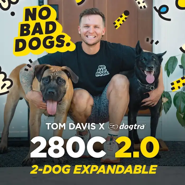 Dogtra Tom Davis 280C 2.0 Uzaktan Kumandalı Köpek Eğitimi (2025 Sürümü)