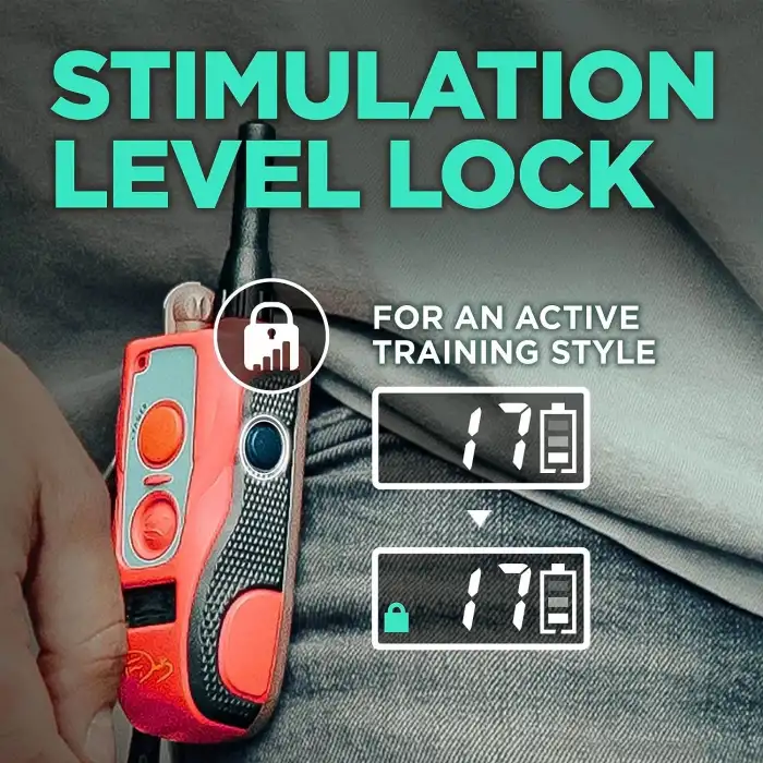 Dogtra Tom Davis 280C Uzaktan Köpek Eğitimi E-Yakasını Güçlendir ve Kilitle