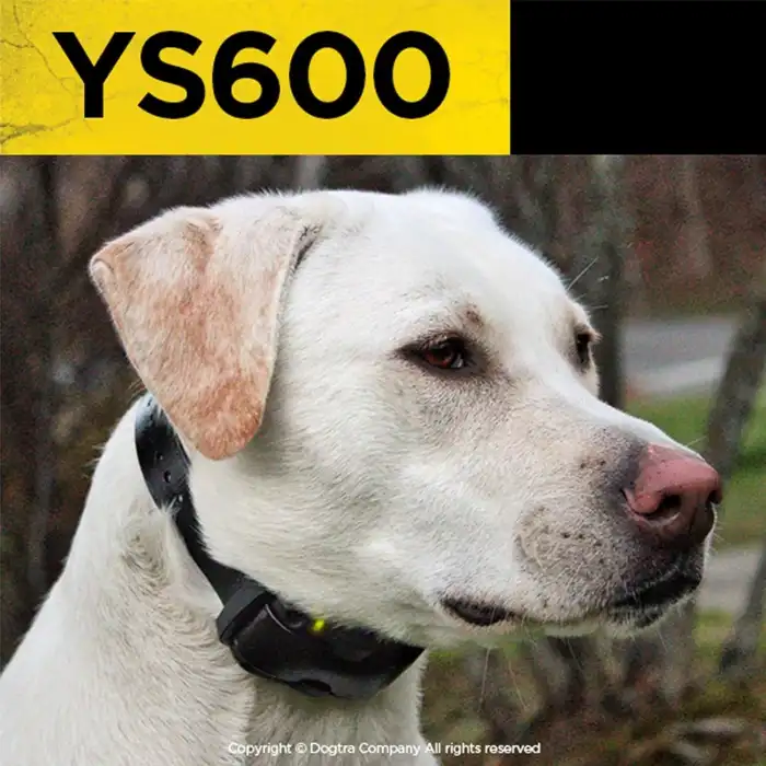 Dogtra YS600 Şarj Edilebilir Su Geçirmez Yüksek Çıkışlı Havlamayan Tasma