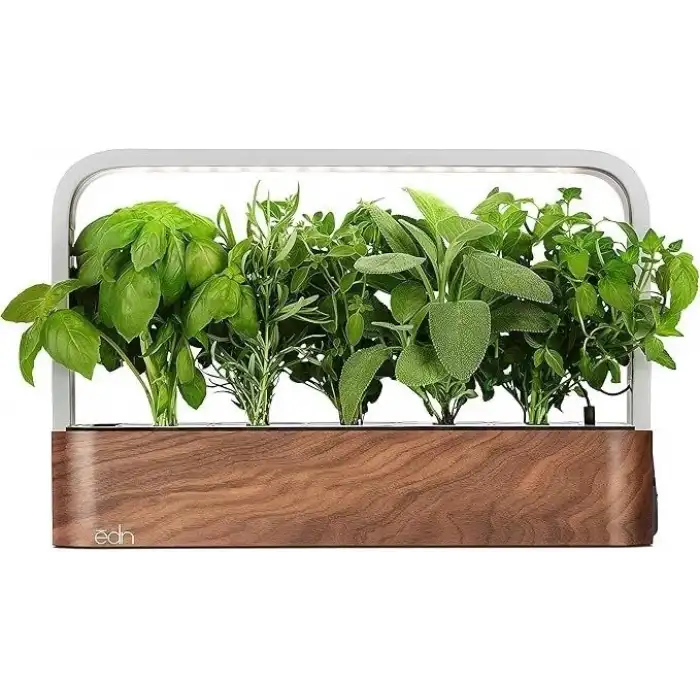 Edn Bitkiler ve Çiçekler için İç Mekanda Yetiştirme Akıllı Bahçe Başlangıç ​​Seti