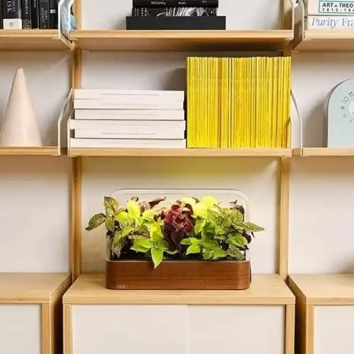 Edn Bitkiler ve Çiçekler için İç Mekanda Yetiştirme Akıllı Bahçe Başlangıç ​​Seti