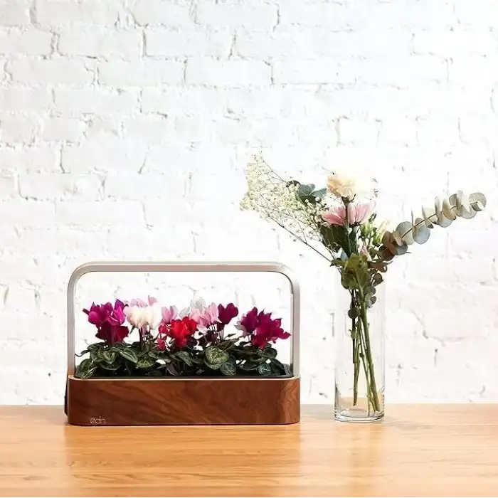 Edn Bitkiler ve Çiçekler için İç Mekanda Yetiştirme Akıllı Bahçe Başlangıç ​​Seti