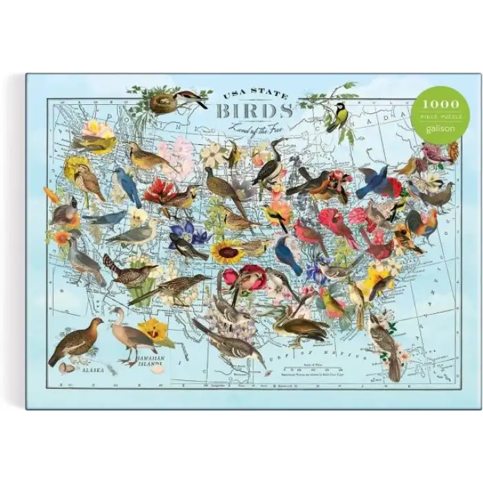 Galison Kelebek Görünümlü Dünya Haritası Puzzle