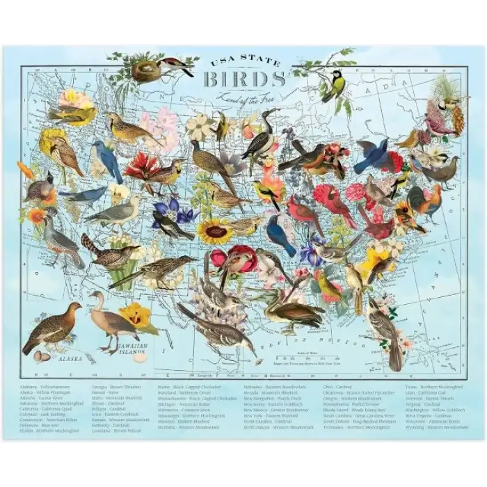 Galison Kelebek Görünümlü Dünya Haritası Puzzle