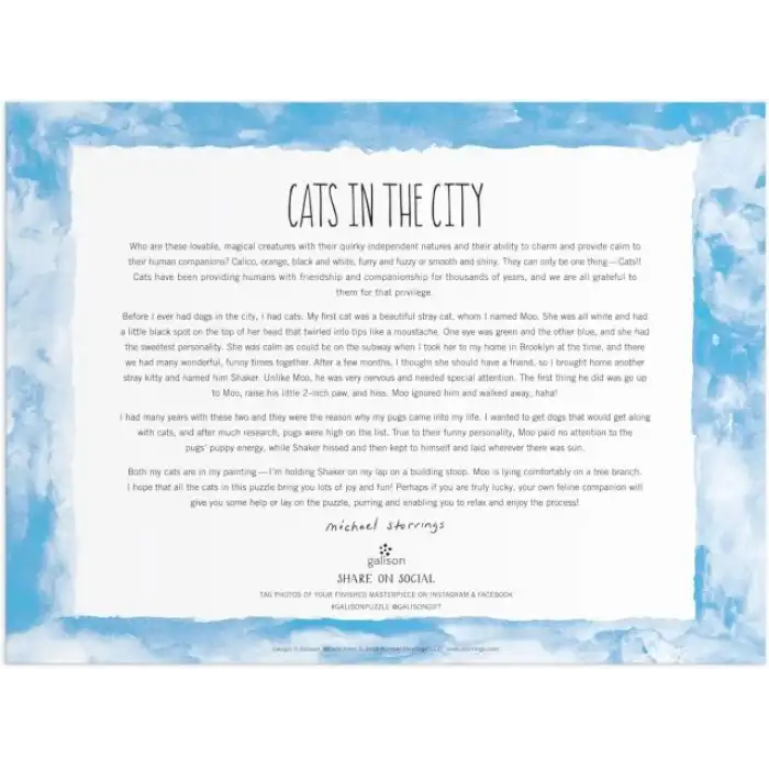 Galison Kütüphanede Bir Gün Puzzle