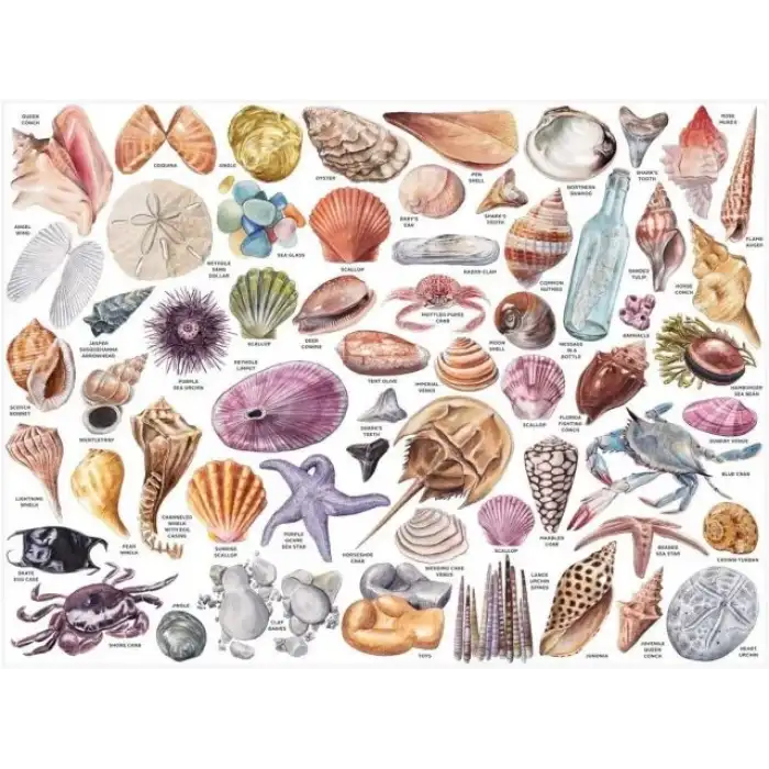 Galison Yetişkinler İçin Kitap Puzzle