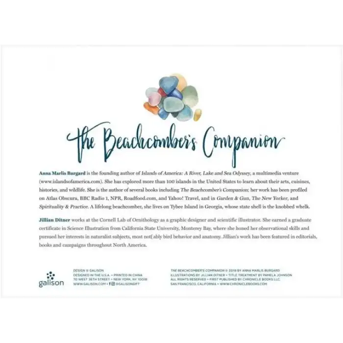 Galison Yetişkinler İçin Kitap Puzzle