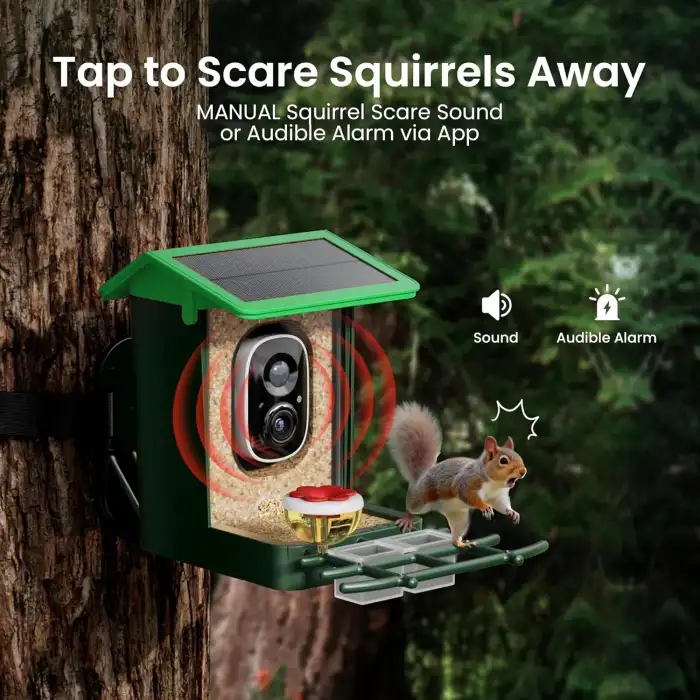 Heapets Kamera, Güneş Enerjili 2K HD Video - Çimen Yeşili