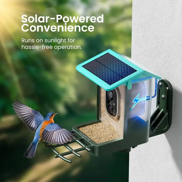 Heapets Kamera, Güneş Enerjili 2K HD Video - Nane Mavisi