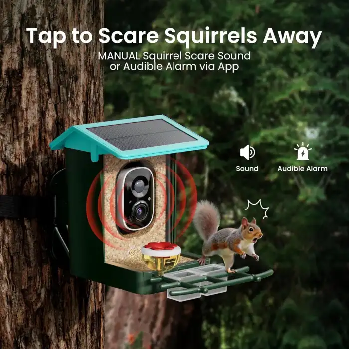 Heapets Kamera, Güneş Enerjili 2K HD Video - Nane Mavisi