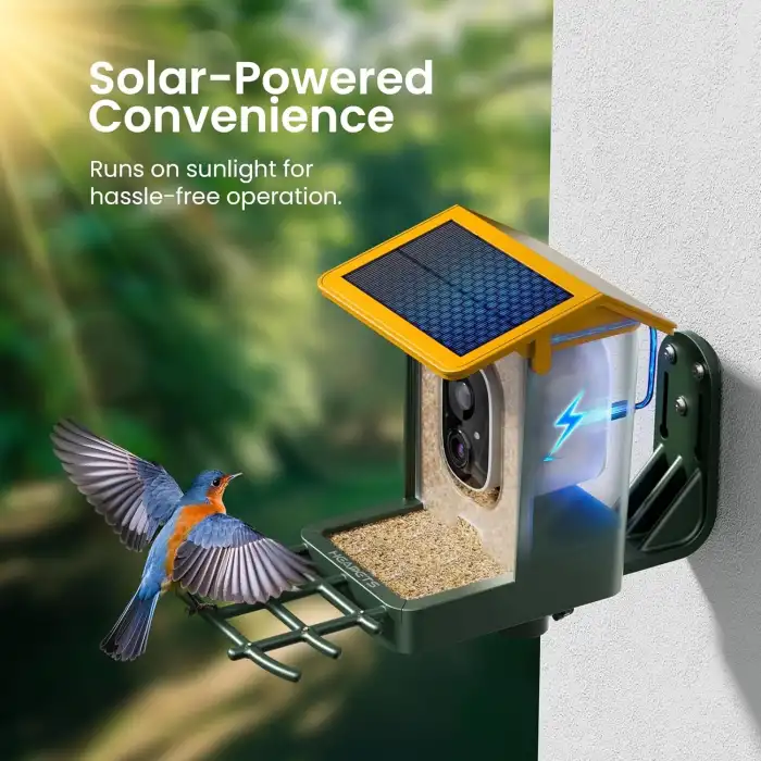 Heapets Kamera, Güneş Enerjili 2K HD Video - Sarı