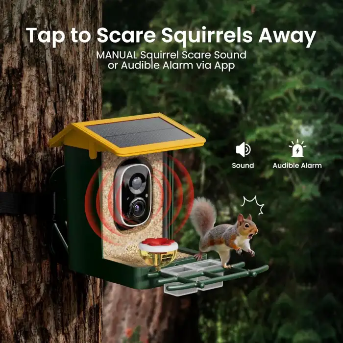 Heapets Kamera, Güneş Enerjili 2K HD Video - Sarı