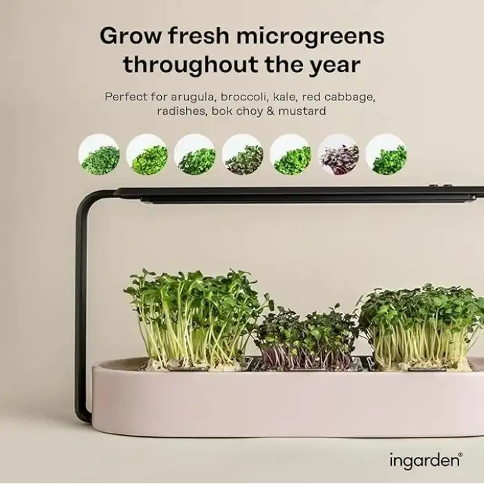 Ingarden Organik Süper Tohum Yetiştirme Kiti Otomatik 4 Kademe Led - Gül Rengi